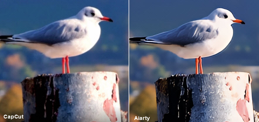 Capcut video upscaler VS Aiarty 2