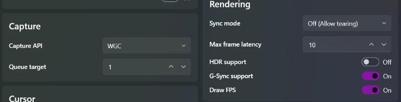 Rendering and capture options