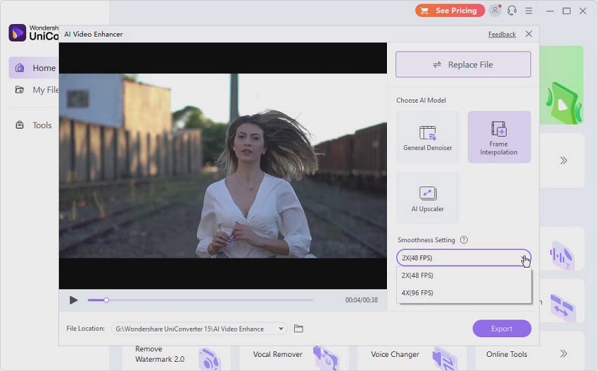 video frame rate changer