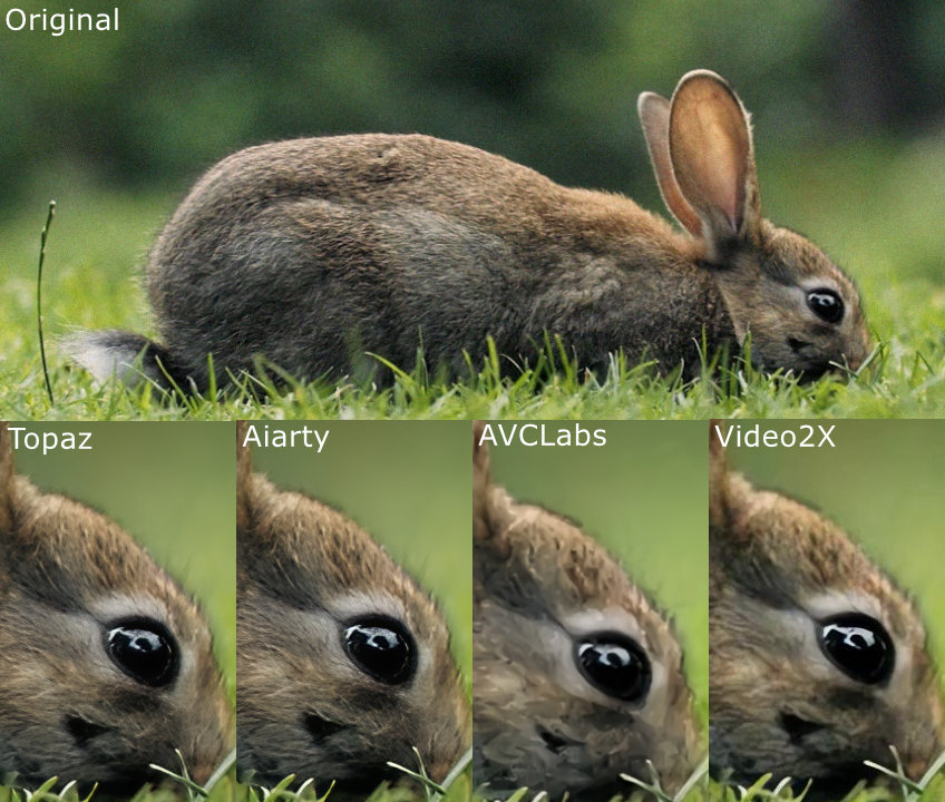 Original vs Topaz Video AI vs Topaz Video AI alternatives test 3