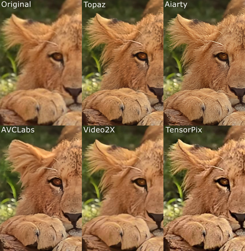Original vs Topaz Video AI vs Topaz Video AI alternatives test 1