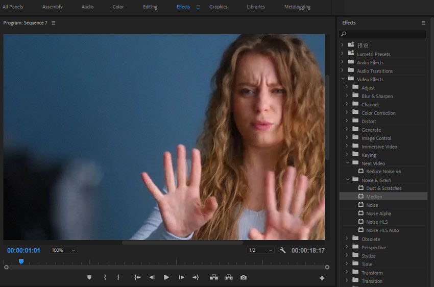remove grain in premiere pro