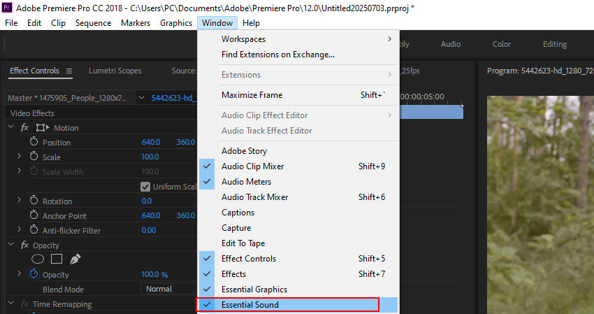 Check Essential Sound in Premiere Pro