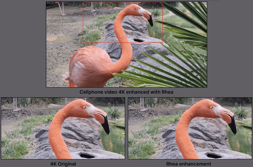 Rhea model