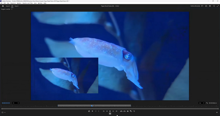 Before and After Result for Topaz Panel Enhancement in Premiere Pro