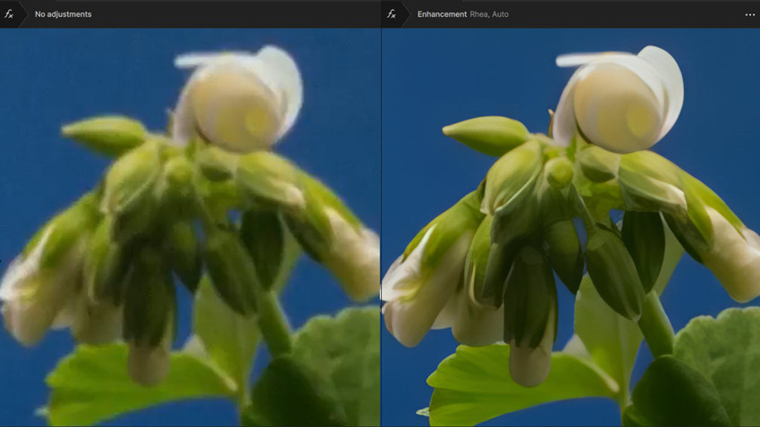 Upscale videos with Topaz Rhea