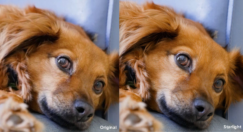 Upscale videos with Topaz Starlight 