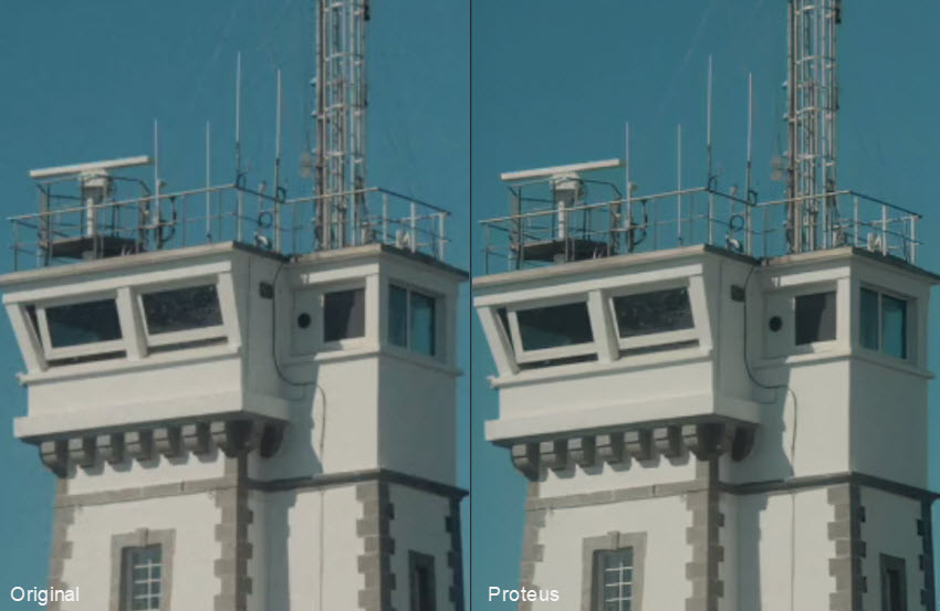 Topaz Video Proteus model