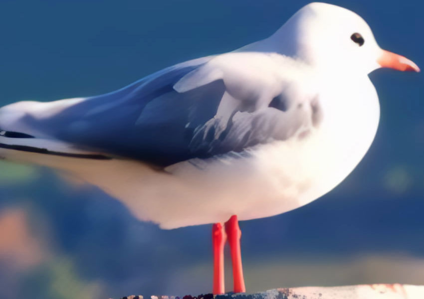 Upscaled by Topaz