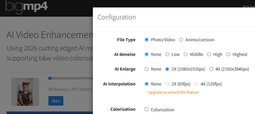 Video Upscaler Bigmp4 Settings