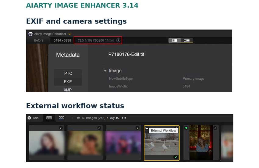 Aiarty Image Enhancer examples of EXIF information and external workflow status
