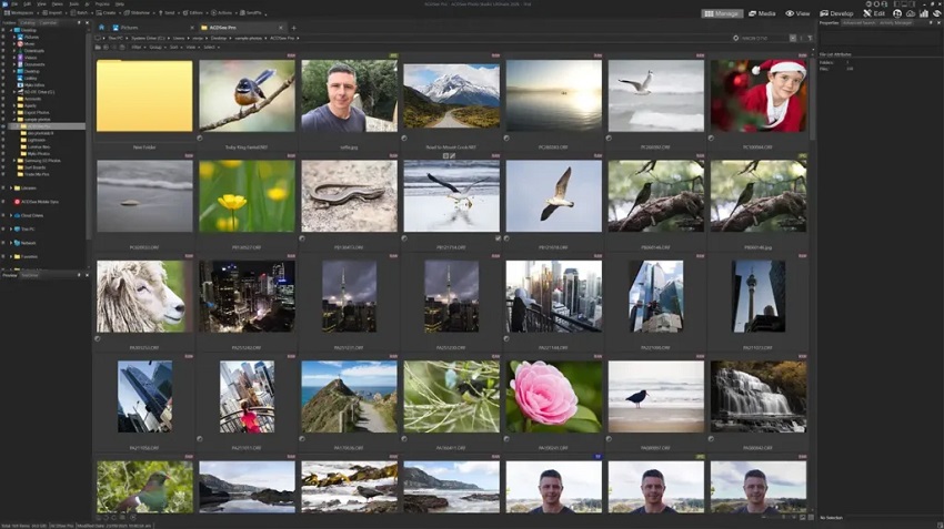 ACDSee Photo Studio Ultimate image tagging