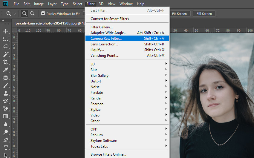 Add Grain with Camera Raw Filter
