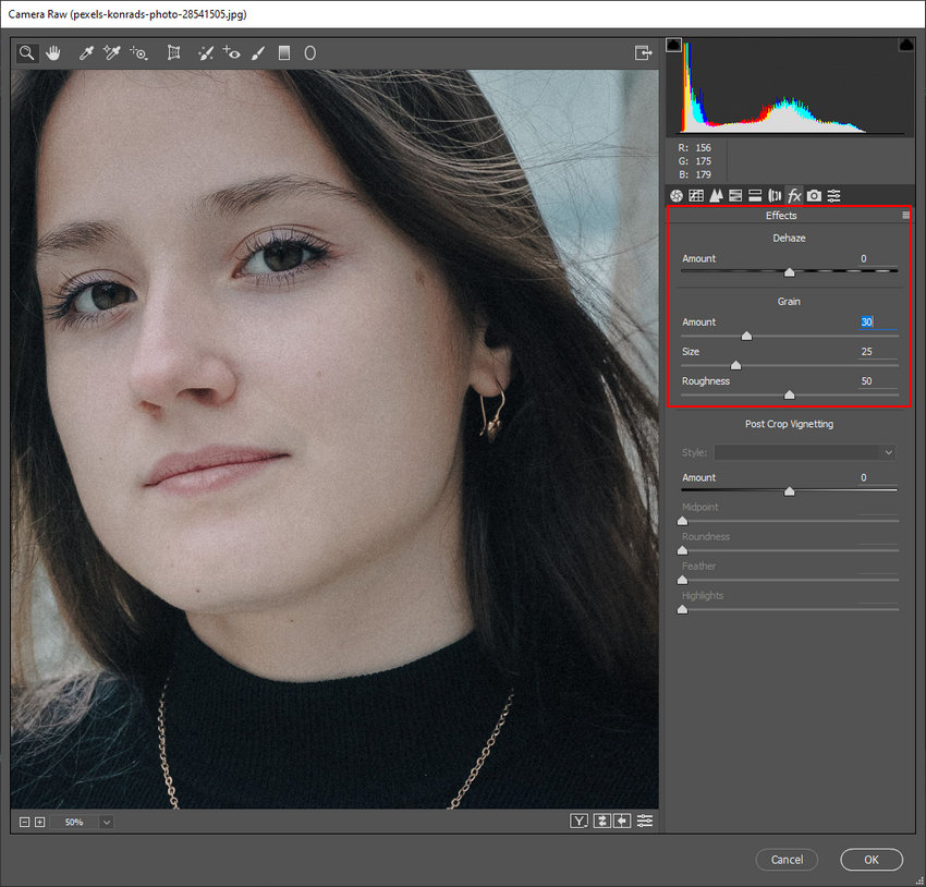 Add Grain with Camera Raw Filter