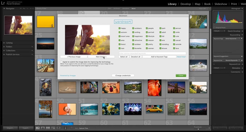 Adobe Lightroom Classic image tagging
