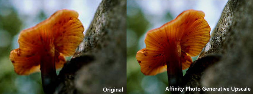 Generative Upscale in Affinity Photo