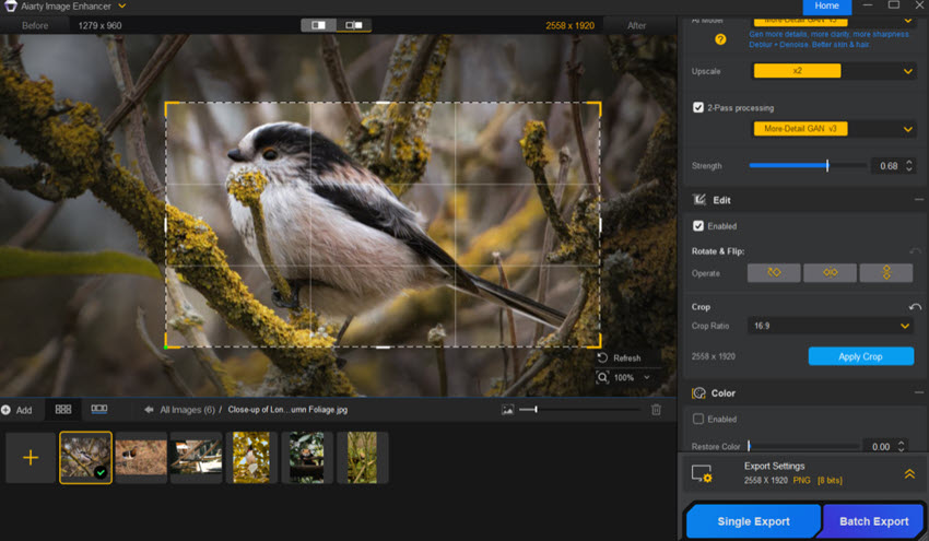 Crop Images in Bulk