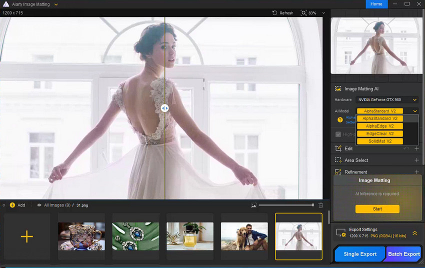 Aiarty Image Matting AI models