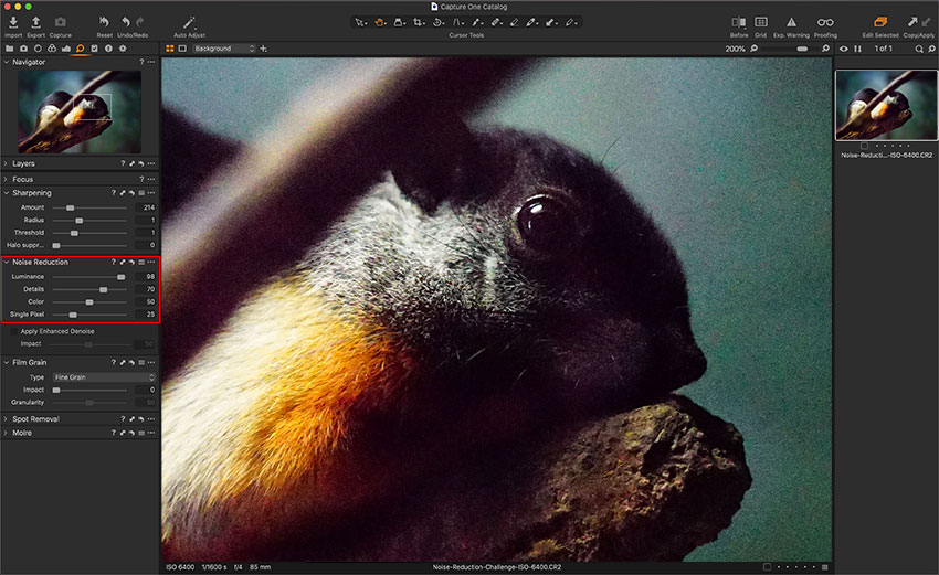 Capture One Noise Reduction Tools