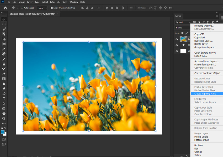 Apply the Clipping Mask Command