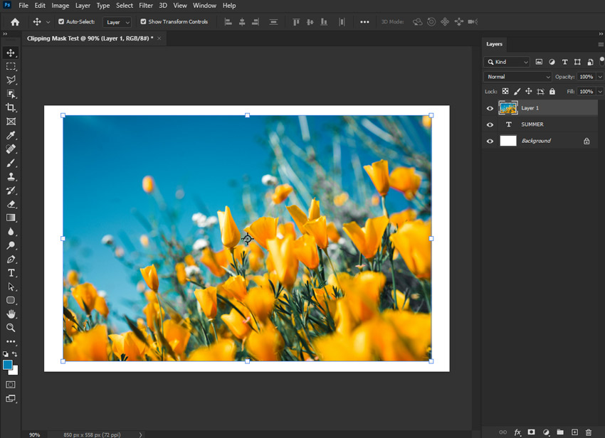 Add the Content Layer