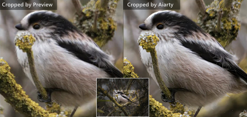 Crop Photo on Mac