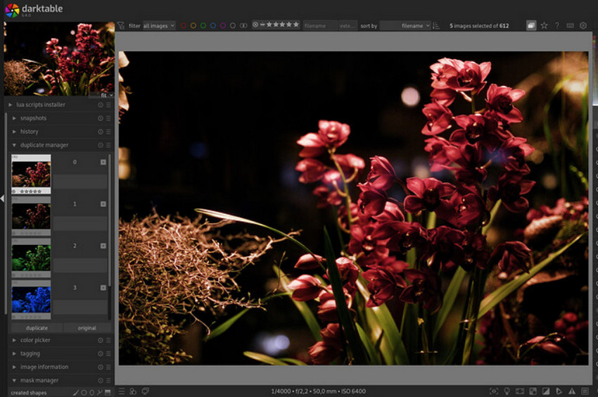 Cull and Rate Your Images