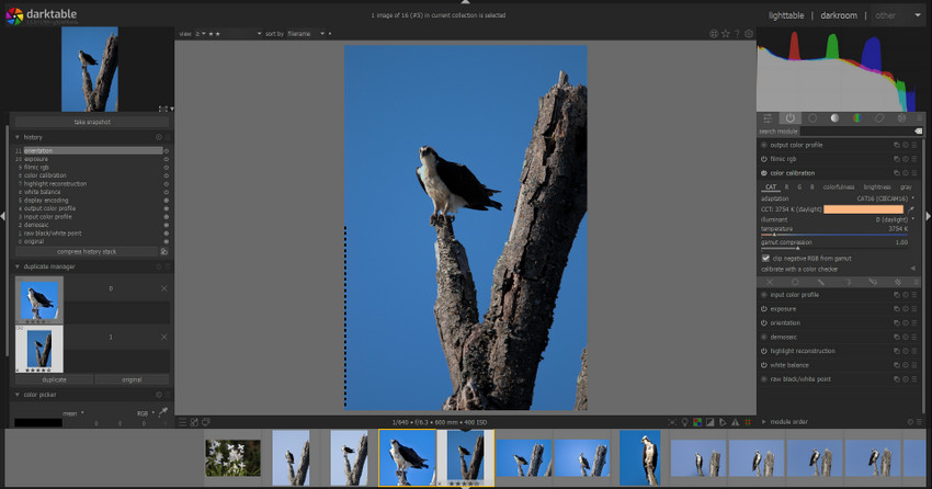Darktable basic adjustment