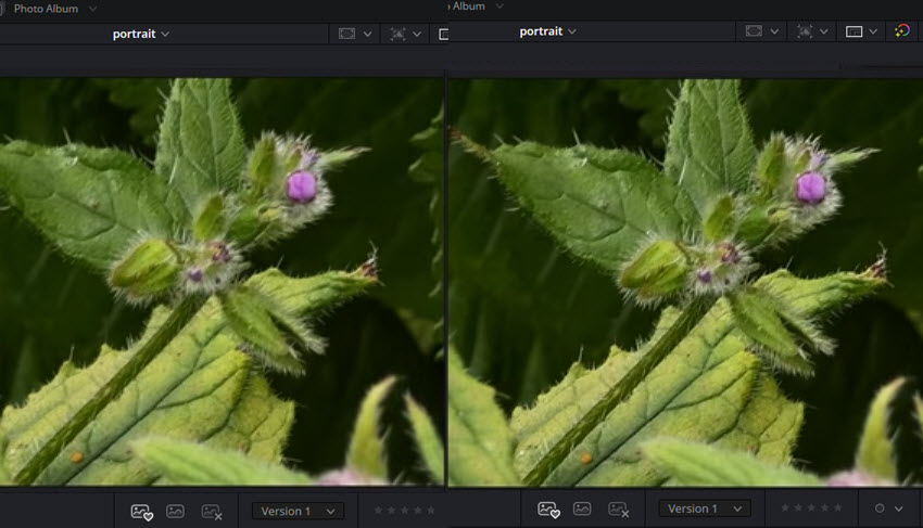 upscale image in davinci resolve photo