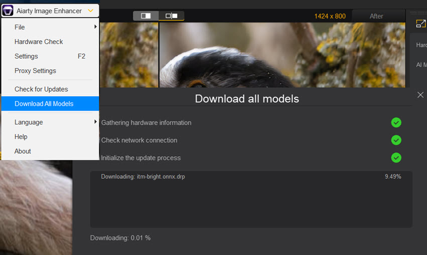 Download All Models Local Device Aiarty
