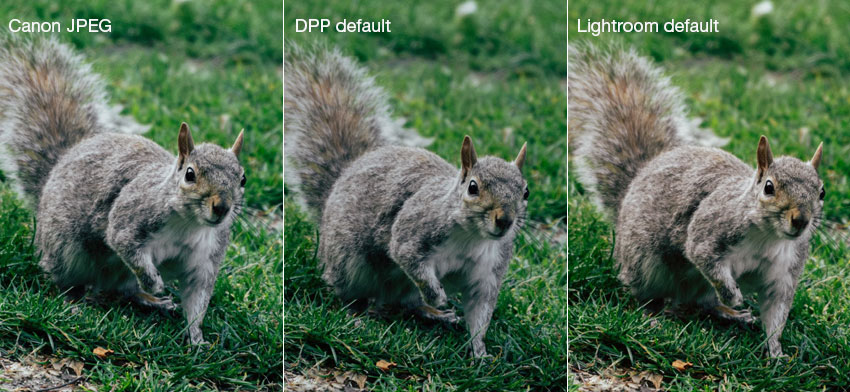 Accurate Canon RAW Rendering in DPP