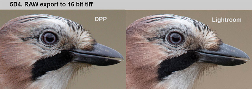 DPP vs Lightroom