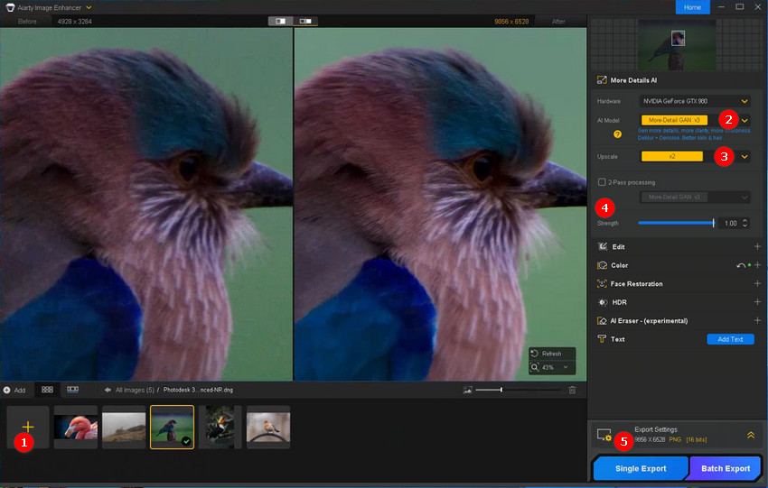 Enhance bird photos in Aiarty Image Enhancer
