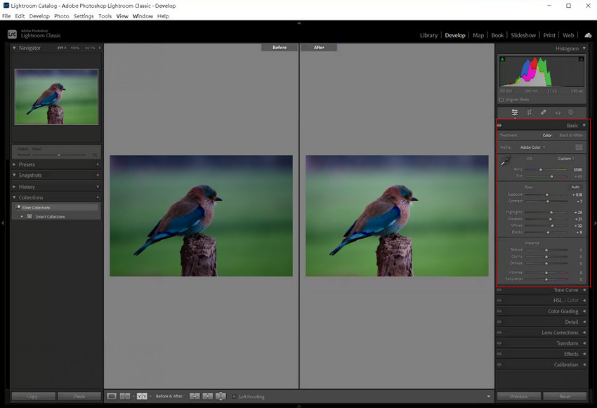Adjust Exposure, Color, Contrast in Lightroom
