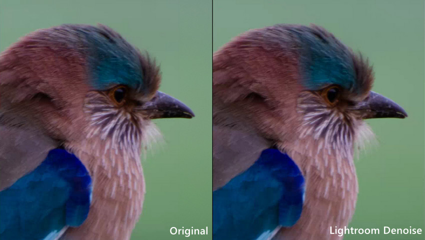 Reduce Noise in Lightroom