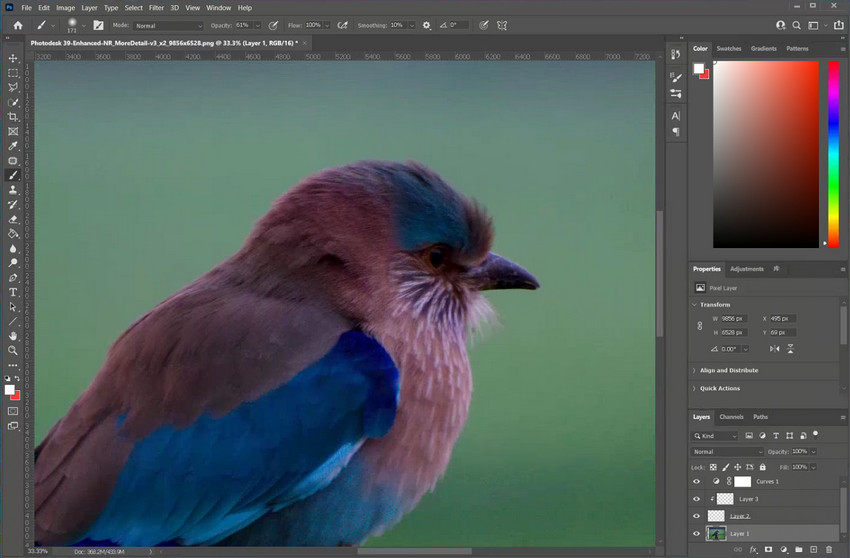 Open a RAW File Directly