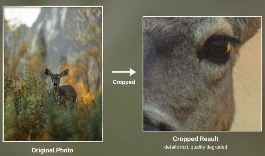 raw photo quality loss after crop