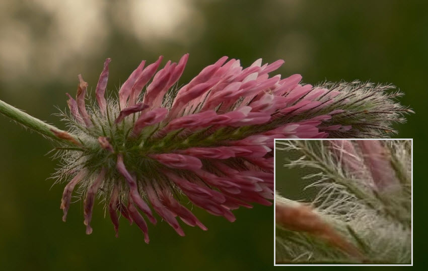 raw quality issues need editing