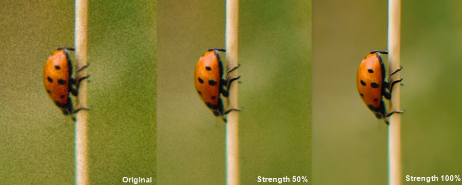 how to edit raw photos strength comparison