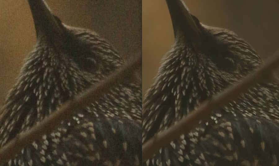 how to edit noisy raw photos