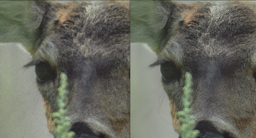 how to edit blurry raw photos