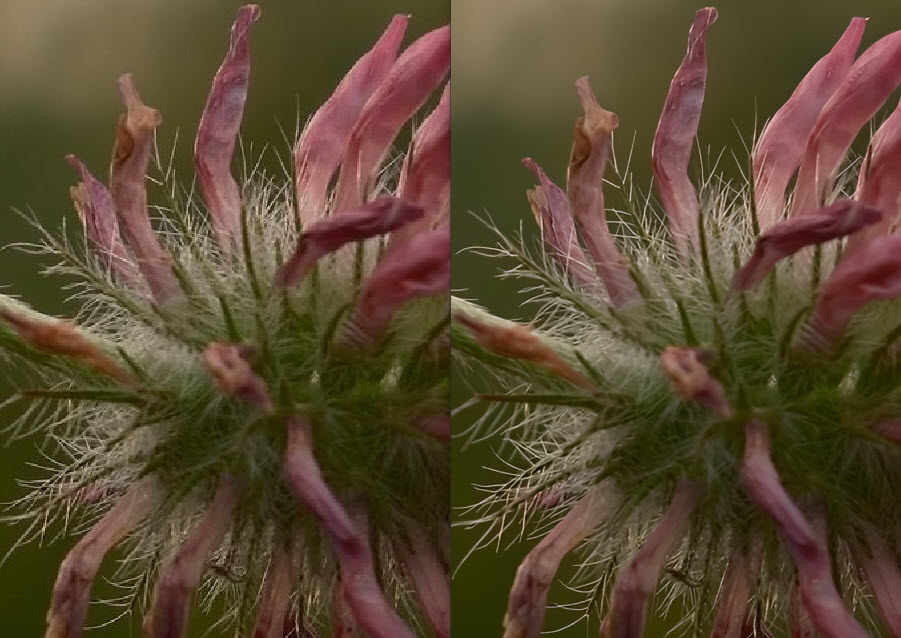 how to edit raw photos for best details