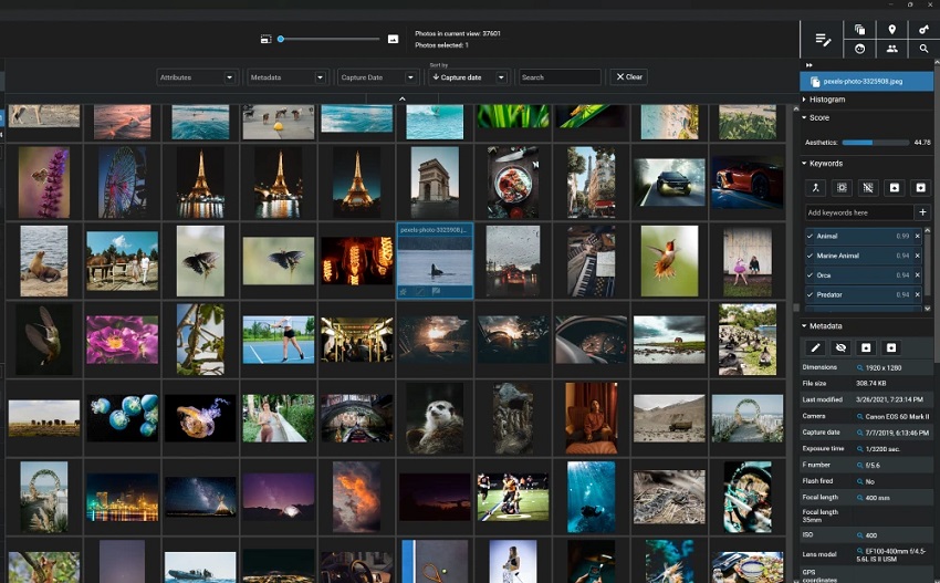 Excire Foto image tagging