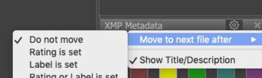 Fastrawviewer Auto Move To Next