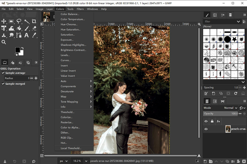 GIMP photo editor review
