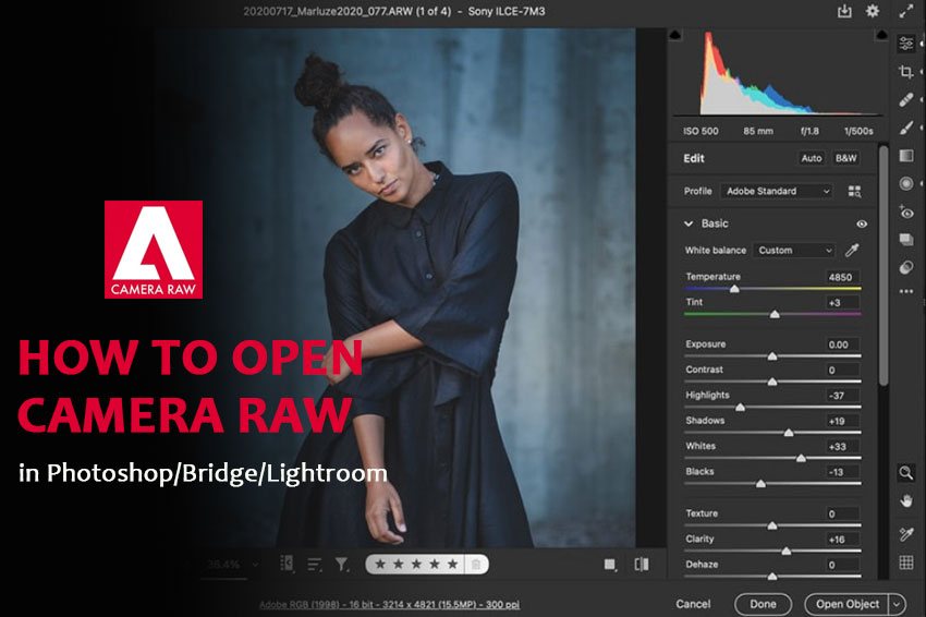 how to open Camera Raw
