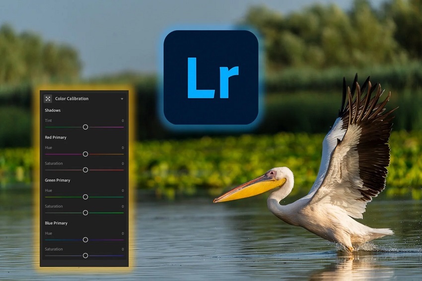 Lightroom Calibration panel