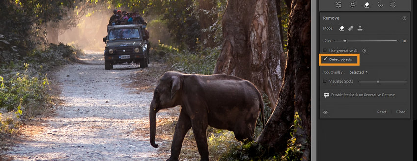 Best AI Photo Editor for photographers - Lightroom