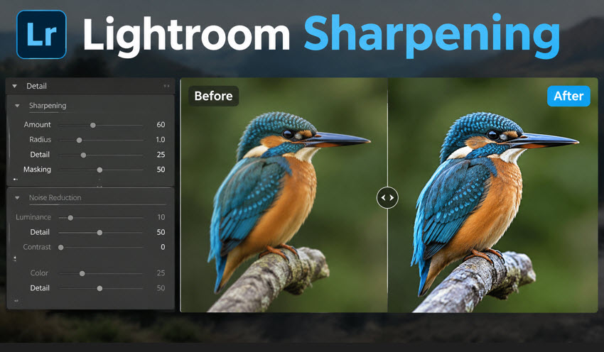 Lightroom sharpening blurry photos
