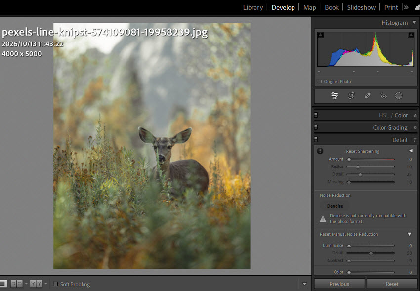 how to sharpen soft photo in Lightroom 